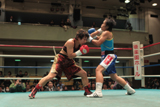 2010.04.01